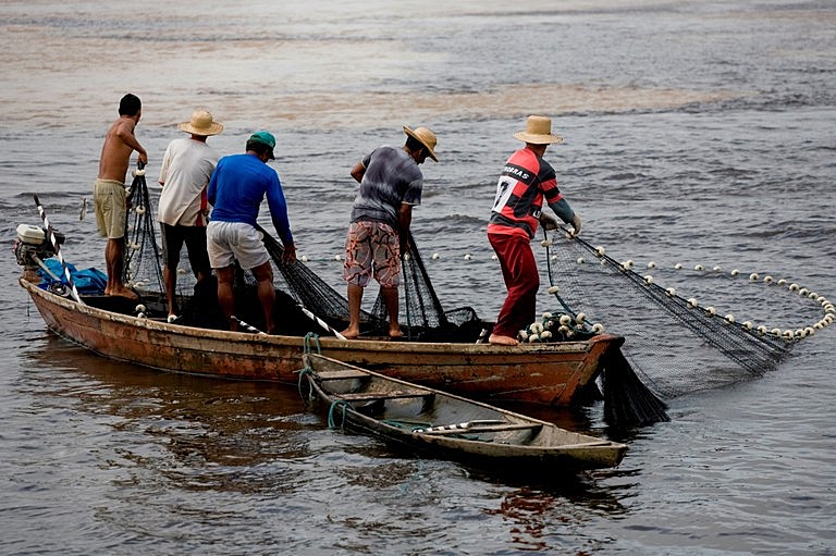 Pescadores | Foto: Ministério da Agricultura