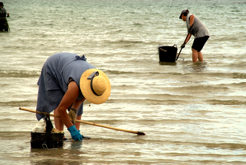 marisqueira