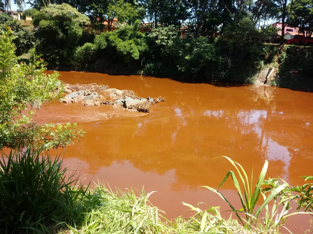 Lama da Vale no rio Paraopeba| Foto: Ir. Neusa Francisco