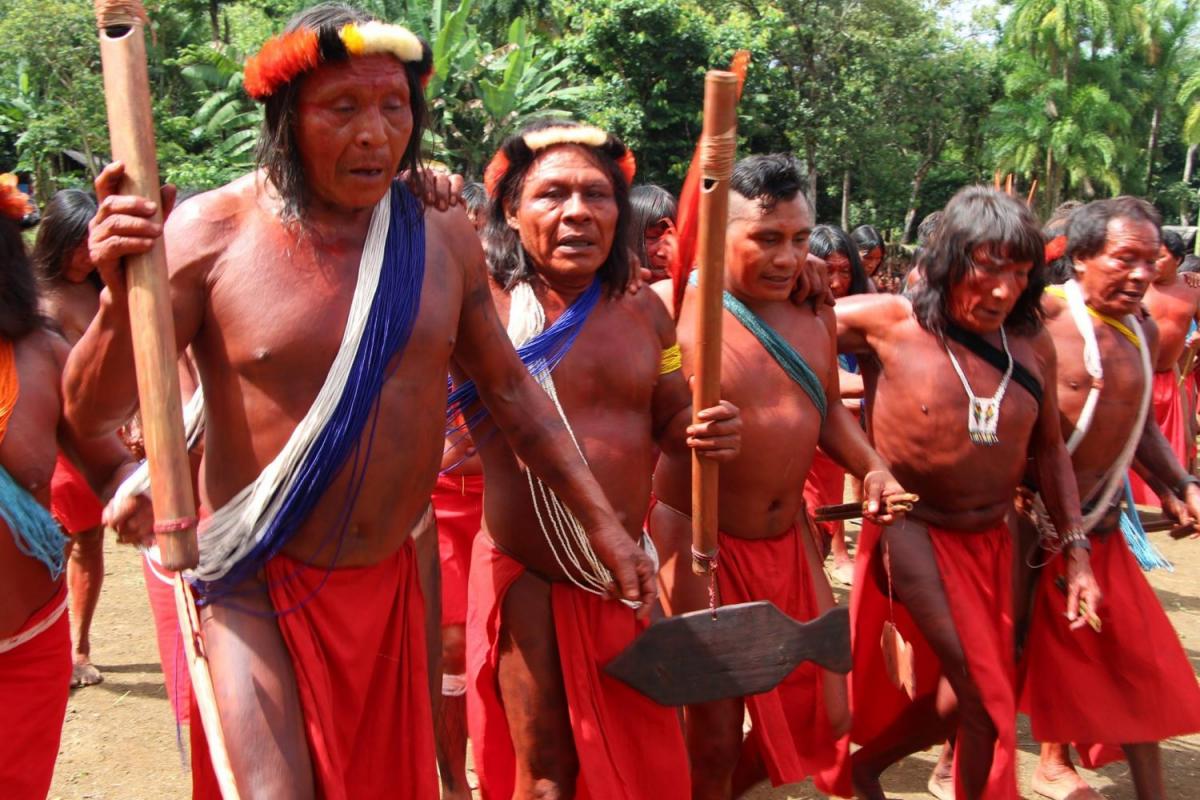 (Foto: Rede de Cooperação Amazônica - RCA)